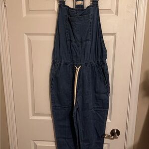 Aritzia Wilfred Free soft Blue Denim Overalls size Medium
